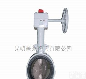 BJ41H/BJ45H，BQ41/BQ47等  进口保温<em>蝶阀</em>-保温<em>阀门</em>-保温<em>蝶阀</em>-昆明盖米<em>阀门</em>