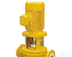 <em>IGF型衬氟管道泵</em>  <em>IGF型衬氟管道泵</em>