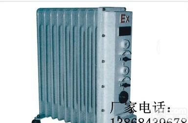 BYT  防爆<em>电热油汀</em> BYT隔爆型<em>电热油汀</em> BYT隔爆型密闭式<em>电热油汀</em>