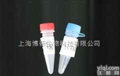 促代谢型谷氨酸受体4<em>抗体</em>,Anti-GRM4/mGluR4<em>抗体</em>现货<em>促销</em>