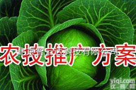 <em>国产</em>  <em>双目</em><em>解剖</em>镜