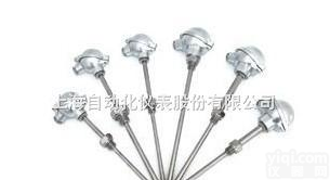 耐腐型耐磨型<em>热电阻</em>【型号：<em>WZC</em>-<em>430</em>】