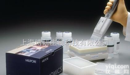 大鼠<em>白介素</em>12（IL-12/P70）ELISA<em>试剂盒</em><em>促销</em>