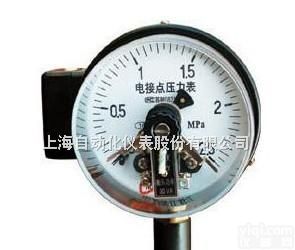 <em>氧气</em><em>压力表</em>【型号：<em>氧气</em><em>压力表</em>】