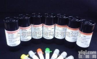 孤菲肽受体/痛敏肽受体<em>抗体</em>,Anti-Nociceptin receptor<em>抗体</em>现货<em>报价</em>