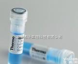 神经元特异性烯醇化酶<em>抗体</em>,Anti-NSE/ENO2/γ <em>Enolase</em><em>抗体</em>现货供应