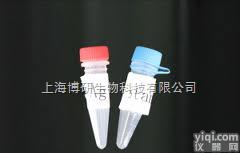 P2Y1受体<em>抗体</em>/嘌呤受体<em>抗体</em>,Anti-P2Y1R/P2ry1<em>抗体</em><em>现货供应</em>