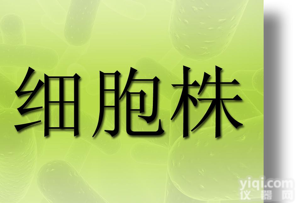 <em>小鼠树突状细胞肉瘤细胞,DCS细胞</em>