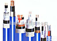 IA-YP2PV22-1本安<em>铜带</em><em>控制电缆</em>