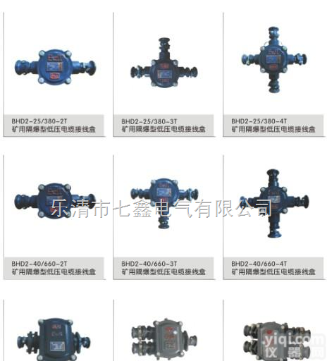 BHD2-40/660-2T<em>报价</em>BHD2-40<em>价格表</em>