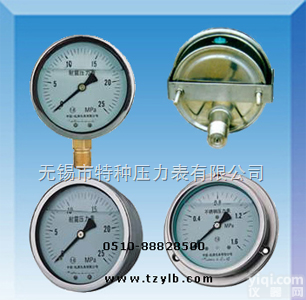 耐振<em>压力表</em>|耐振<em>压力表</em>价格|耐振<em>压力表</em>结构<em>原理</em>|精度量程范围|