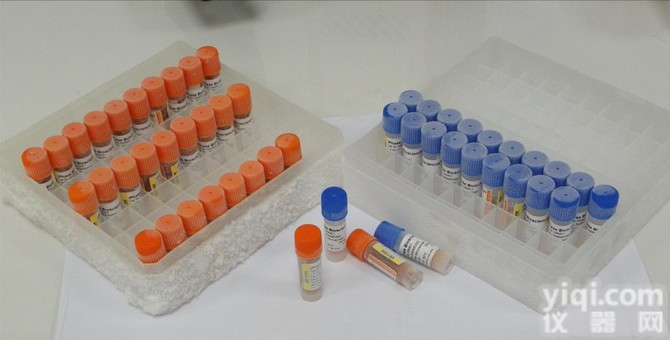 <em>非洲绿猴非洲绿猴肾细胞</em>,CV-1细胞