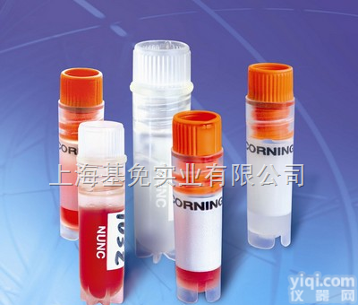 人<em>软组织</em><em>纤维瘤</em><em>细胞</em> ,TE 115.T<em>细胞</em>