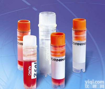 <em>人绒癌细胞VP16耐药株IL-2转染,JEG-3/VP16-IL-2细胞</em>