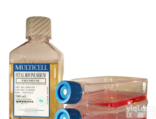 <em>胶质瘤</em>,<em>SHG</em>-44<em>细胞</em>