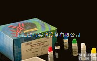 人神经保护因子ELISA试剂盒特价