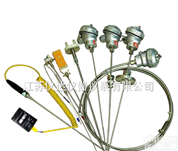 WZ  <em>铠装</em><em>热电阻</em>