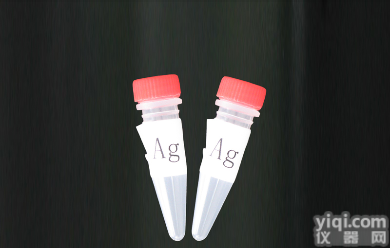 Anti-<em>Cytokeratin</em>  <em>细胞</em>角蛋白抗体