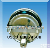 YN-50U/YN60U/YN75U/Y  卡箍安装<em>耐震</em>压力表|<em>支架</em>快装<em>耐震</em>压力表|压力表防护等级