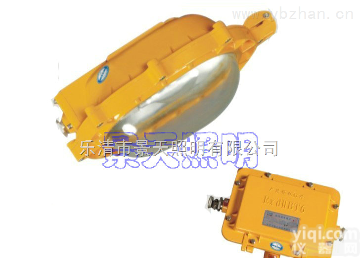 应急<em>防爆</em><em>照明灯</em>：BFE8120内场<em>防爆</em><em>应急灯</em>