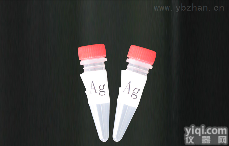 Anti-<em>Nociceptin</em> receptor  孤菲肽<em>受体</em>/痛敏肽<em>受体</em><em>抗体</em>