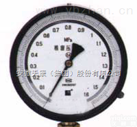YB-<em>150</em>型<em>精密</em><em>压力表</em>