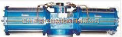圣<em>莱尔</em>AW<em>气动</em>执行器