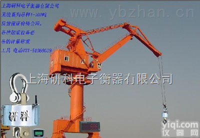 <em>黑龙江</em>30吨<em>吊秤</em>，<em>黑龙江</em>20吨，40吨码头起重机吊钩秤