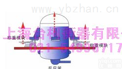 反应釜专用<em>模块</em>、称重<em>系统</em>专用<em>模块</em>、实用型<em>模块</em>、电子<em>模块</em>