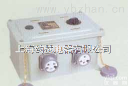 CZX220/24SD1，  CZX220/24SD1，CZX220/24SD2<em>船用</em>高<em>低压</em>插座箱