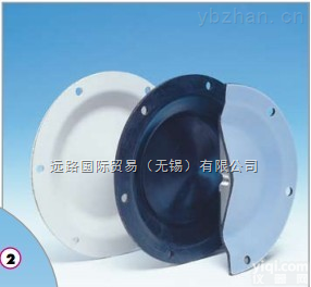 瑞典特夫洛tapflo  瑞典特夫洛tapflo