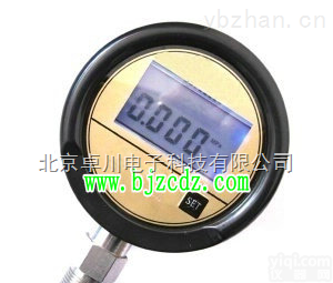 MD.1-MD-S200  电池供电压力表