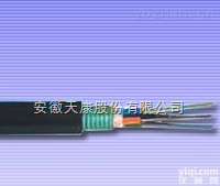 <em>GYTZS  2-144芯阻燃松套层绞式光缆</em>