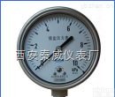Y-100BF<em>不锈钢</em><em>压力表</em>  <em>不锈钢</em><em>压力表</em>,Y-100BF<em>不锈钢</em><em>压力表</em>