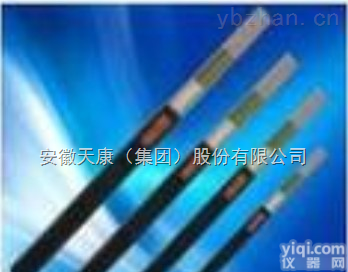 450V/750V<em>耐高温</em><em>电子计算机</em>电缆