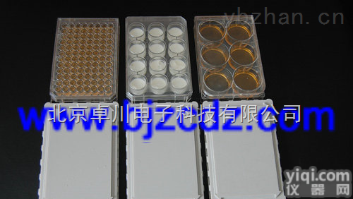 WD.16-CLB  酶标<em>磁力</em>板/细胞培养<em>磁力</em>板 <em>北京</em>