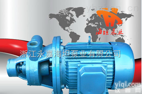 1W型  <em>旋涡泵</em>,1W型<em>单级</em><em>旋涡泵</em>