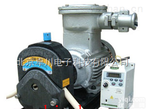 <em>JL</em>.11-<em>JL</em>-V1/353Y  交流<em>防爆</em><em>蠕动泵</em> 北京