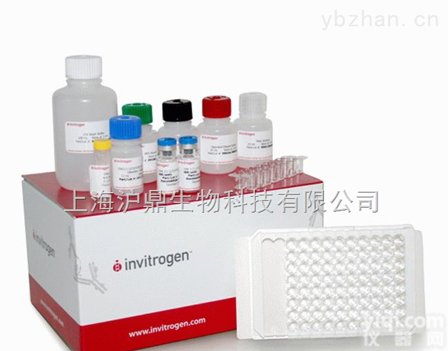 <em>氯霉素</em>检测<em>试纸</em>条（<em>液态</em>样品）