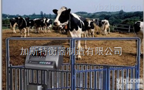 日照<em>牲畜</em>秤价格，日照<em>牲畜</em>秤报价，日照<em>牲畜</em>秤代理<em>哪家</em>好？