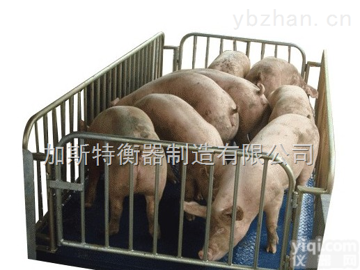 连云港<em>动物</em>秤厂家，连云港<em>动物</em>秤批发，连云港<em>动物</em>秤<em>哪家</em>好？