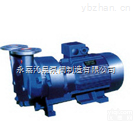 2BV  <em>2BV型水环式真空泵</em>
