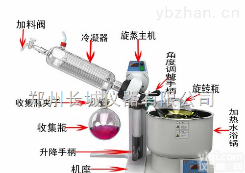 R-<em>1001</em>-LN  0.5L~2L斜式<em>冷凝器</em>旋转<em>蒸发</em>器