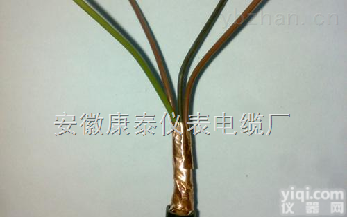 <em>氟塑料屏蔽电缆</em>