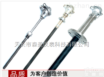 <em>WRNNM-230  耐磨热电偶</em>