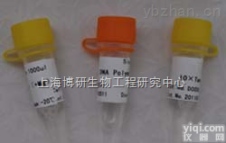 Anti-AATF<em>抗体</em>,<em>拮抗</em><em>凋亡</em>转录因子<em>抗体</em>说明书