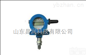山<em>东昌</em>润CHR820电池供电无线<em>压力表</em>