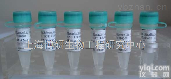 Anti-<em>VGF</em><em>抗体</em>,神经<em>内分泌</em>调节肽<em>VGF</em><em>抗体</em>产品说明