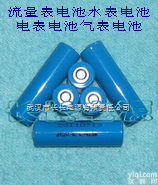 <em>锂电池</em>  <em>水表</em>电池 （流量表电池电表电池气表电池）