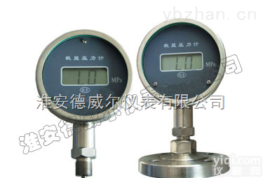 YBS  <em>普通型</em>数显<em>压力计</em>
